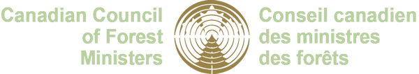 ccmf logo