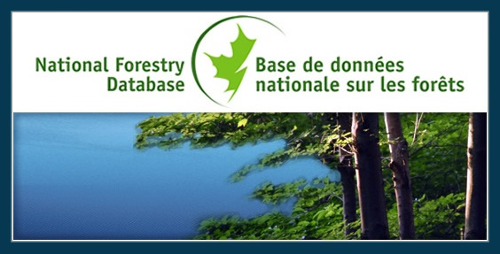 National Forestry Database | Base de données nationale sur les forêts